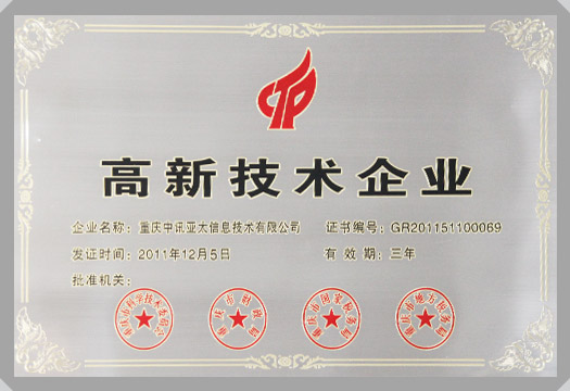 IT行業資質及榮譽