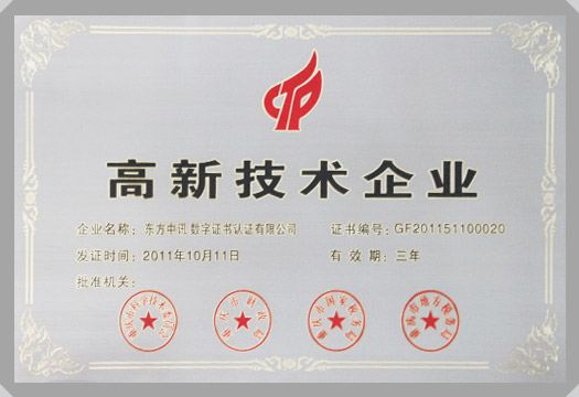 IT行業資質及榮譽