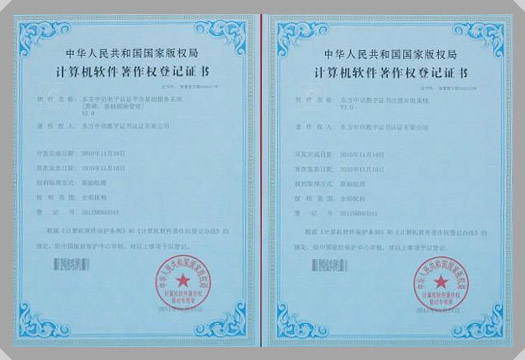 IT行業資質及榮譽