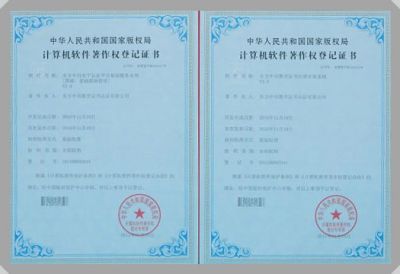 IT行業資質及榮譽