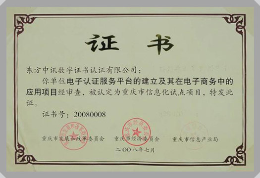 IT行業資質及榮譽