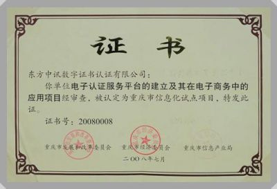 IT行業資質及榮譽