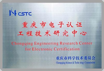 IT行業資質及榮譽