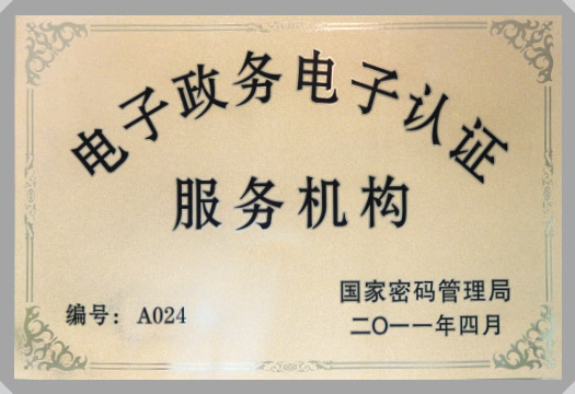 IT行業資質及榮譽