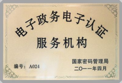 IT行業資質及榮譽