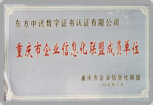 IT行業資質及榮譽